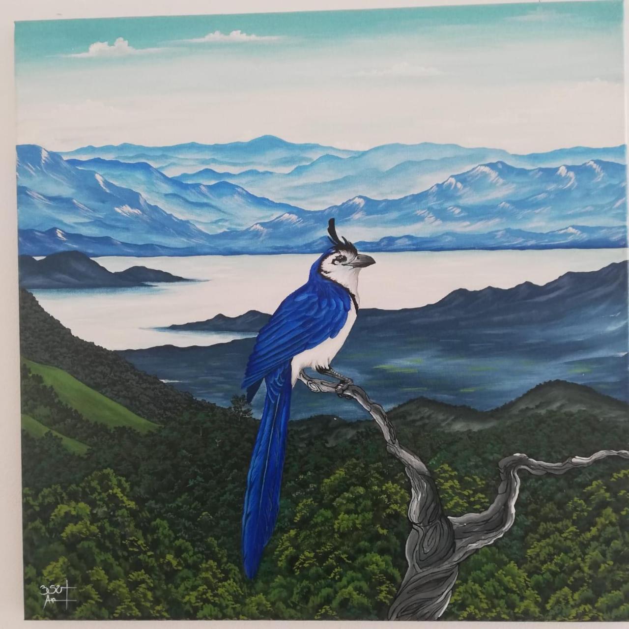Willa Casa Urraca, Magnifica Vista Al Oceano Pacifico Monteverde Zewnętrze zdjęcie