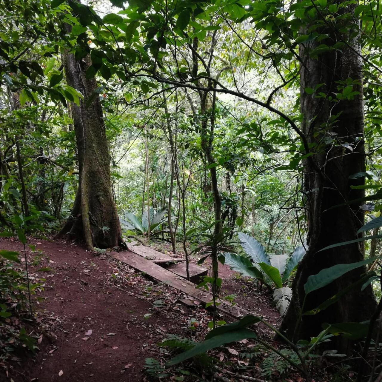 Willa Casa Urraca, Magnifica Vista Al Oceano Pacifico Monteverde Zewnętrze zdjęcie